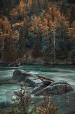 糖心app苹果轻量版-糖心APP苹果轻量版，体验轻巧高效，尽享优雅互动